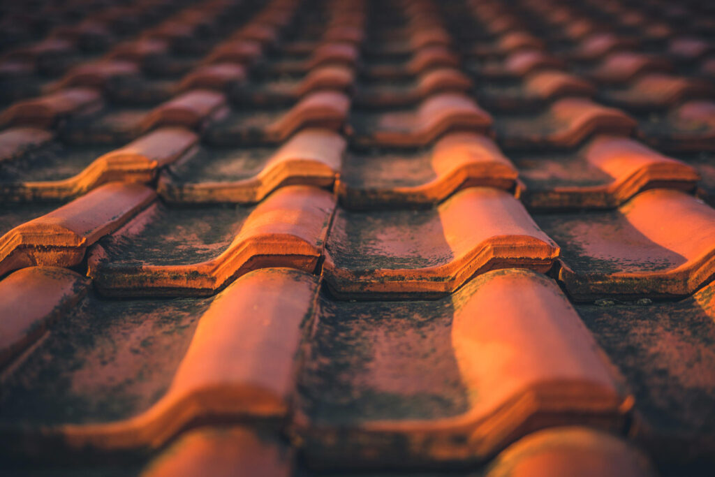 how to remove mold from roof shingles-close up with selective focus on shingles covered in mold