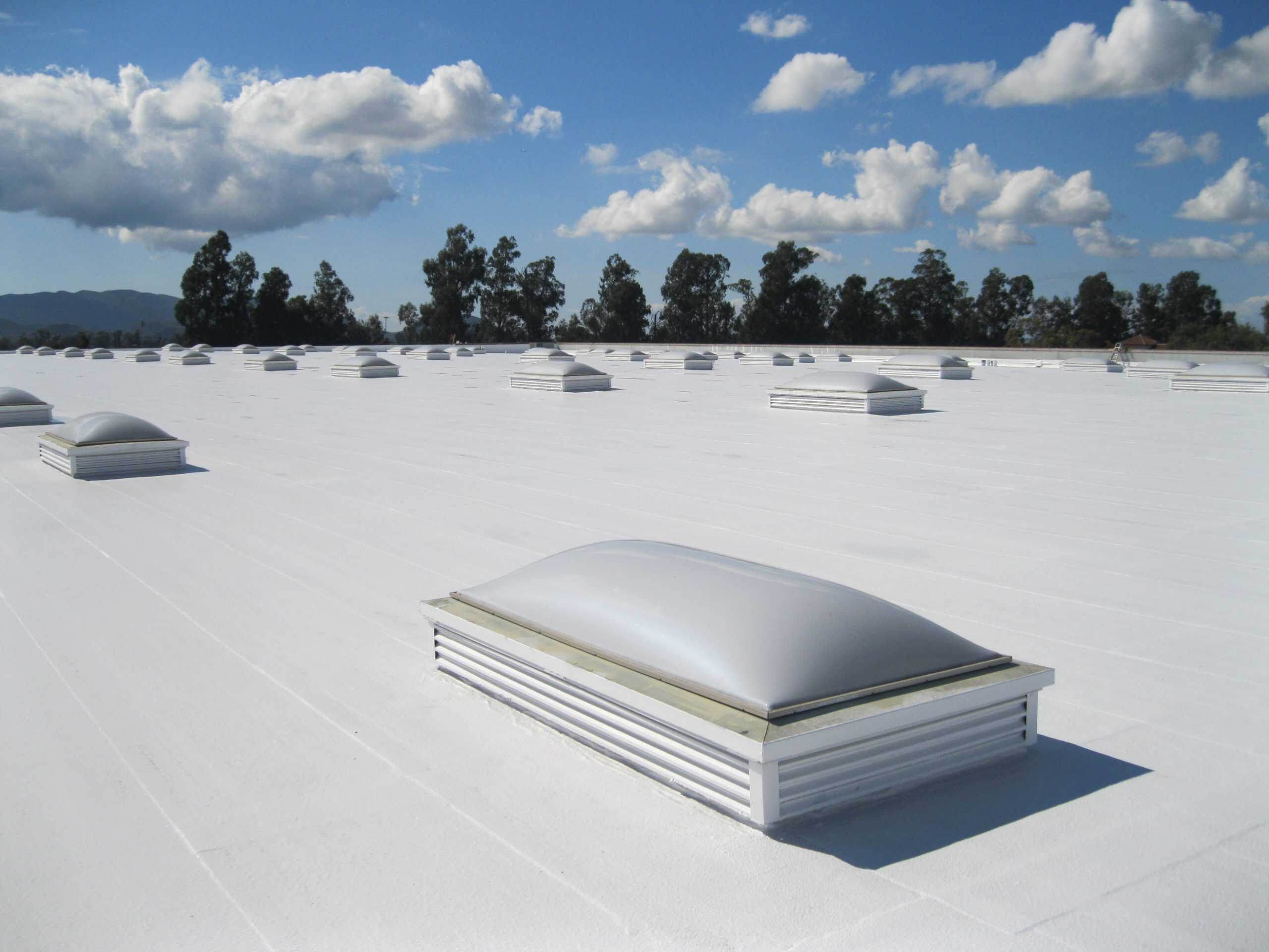 TPO Commercial Roofing