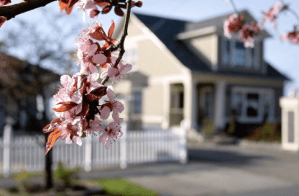 Spring Roof Clean Up Tips For Commercial Roofing In Kansas City %E2%80%93 Pt. 2