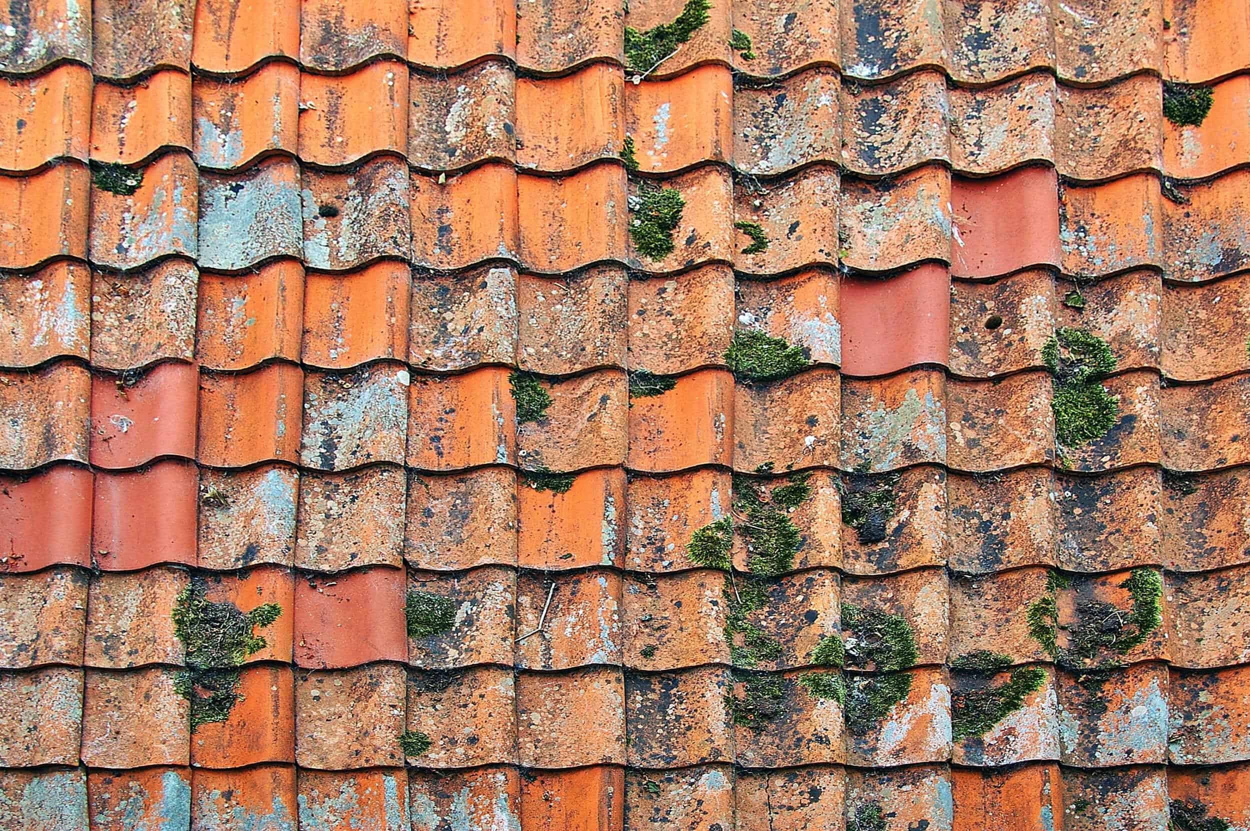 Weathered clay roof tiles with moss growth, showing need for roof repair and maintenance.