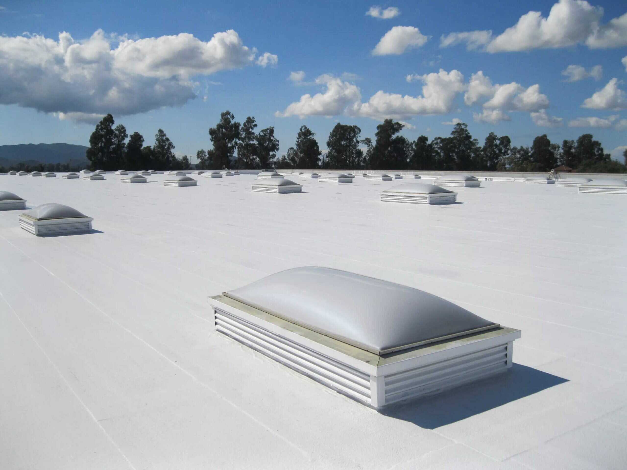Bright white commercial roof with multiple skylights, showcasing durable roofing solutions by Shamrock Roofing and Construction.