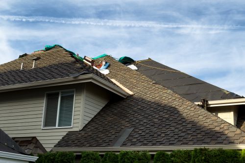 Repairing residential roof with shingles on a suburban home Roof replacement and construction services in progress.