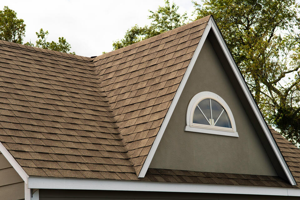 brown sided house with brown shingled roof