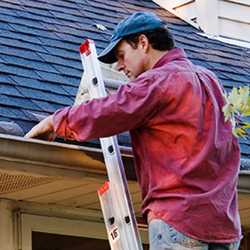 roofing contractor