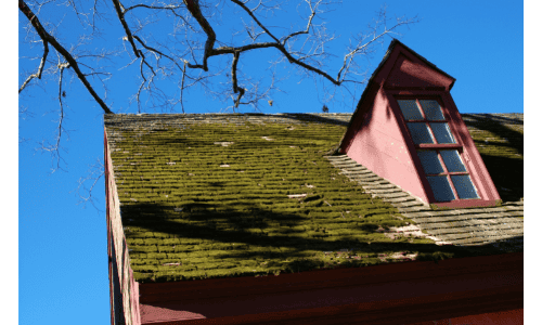 Moss-covered roof of a home with dormer window, showcasing roofing installation and repair services.