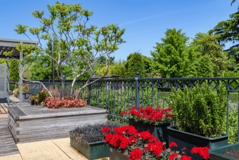 Shamrock roofing and construction outdoor deck with potted plants and fence, landscaping, roofing repair, siding, installation services.