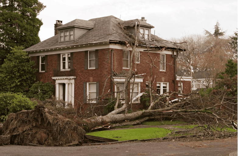 Overturned tree damaging brick house after storm, emergency roofing needed.