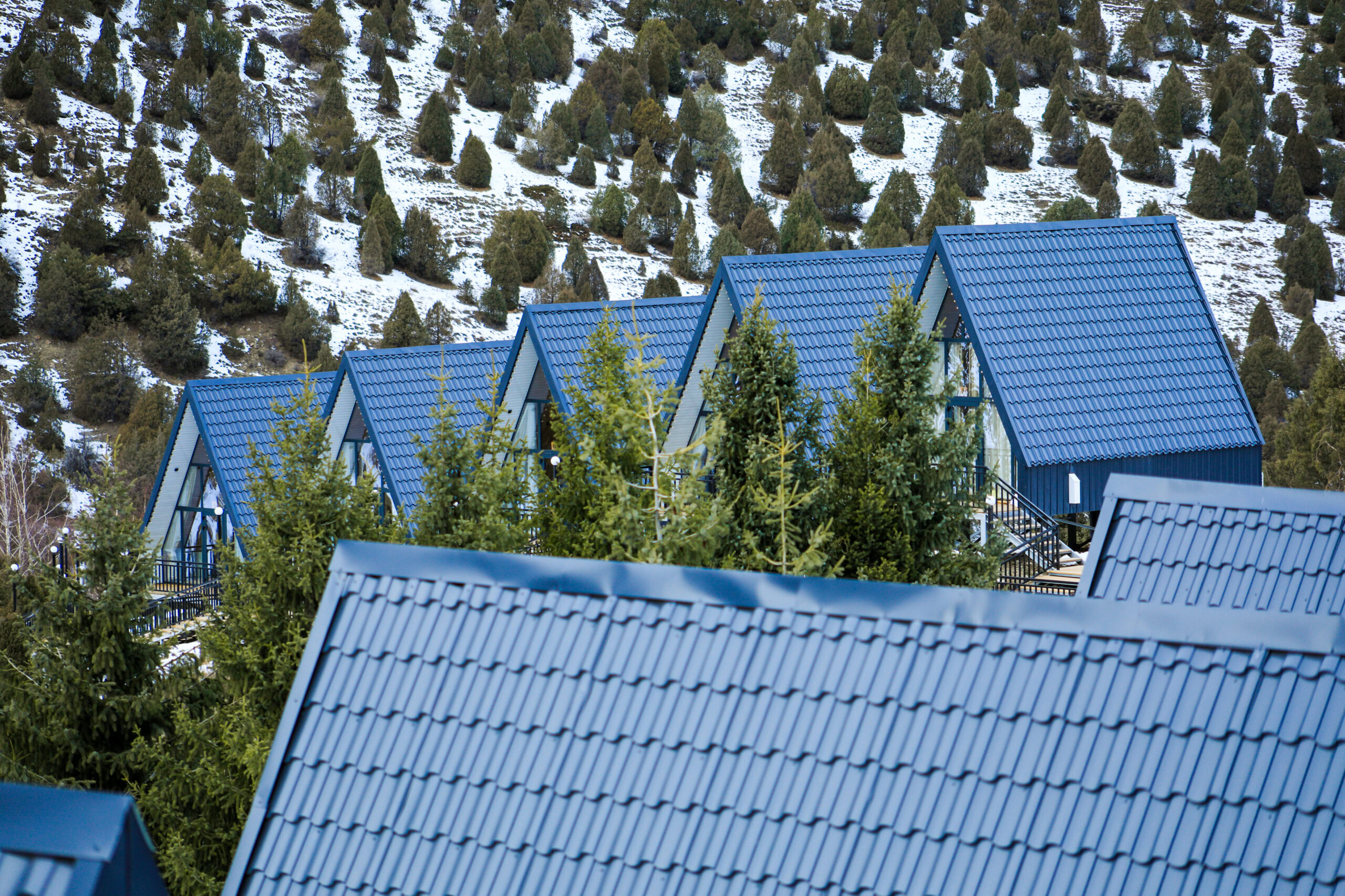 Metal Roofing