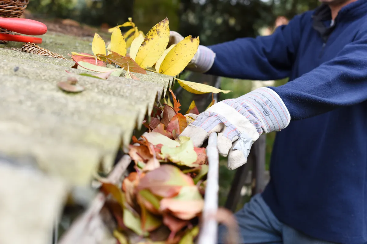 cleaning out clogged gutters 