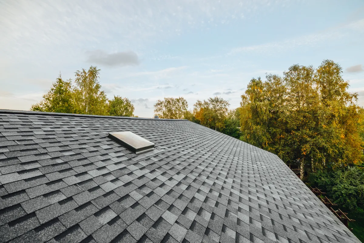 new architectural roof shingles on a house 