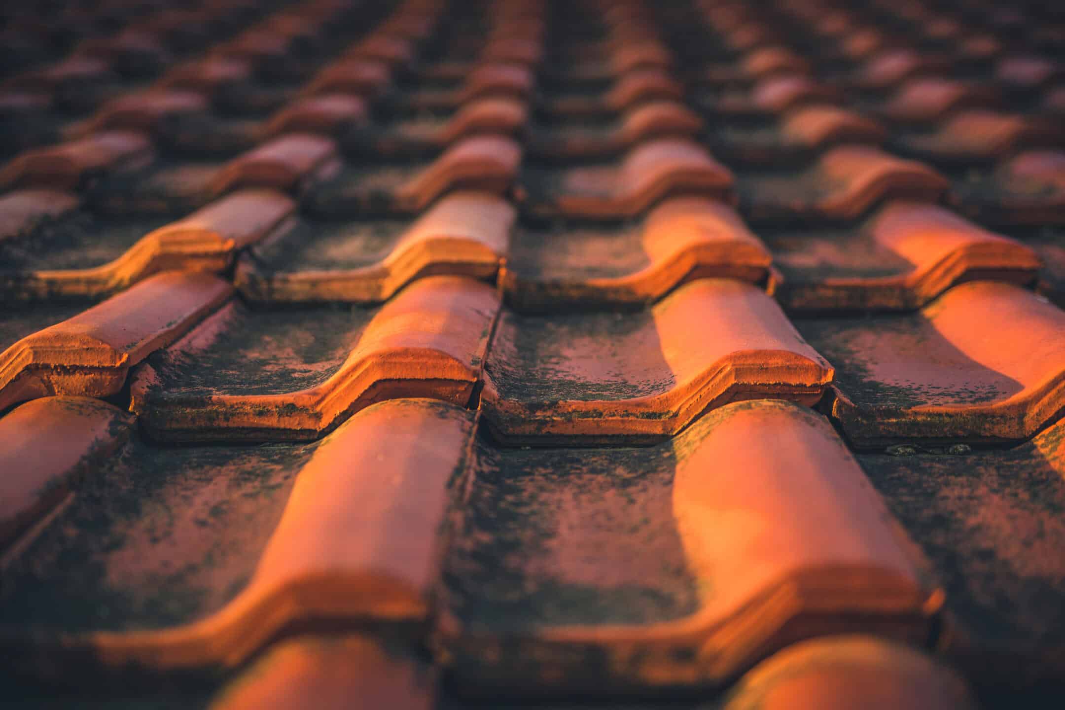 Shingle Roof