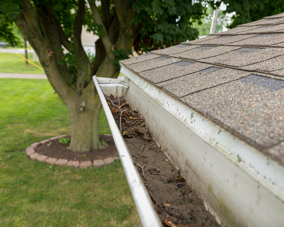 how to remove mold from roof shingles-gutters filled with debris, moss, and mold