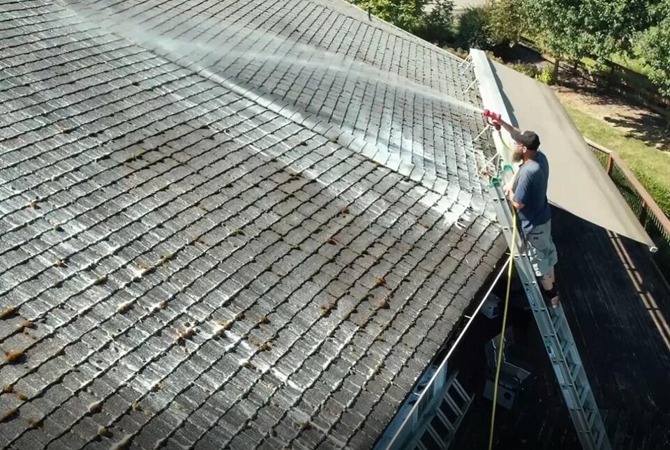 soft wash roof cleaning-man standing on ladder spraying cleaning solution onto a roof