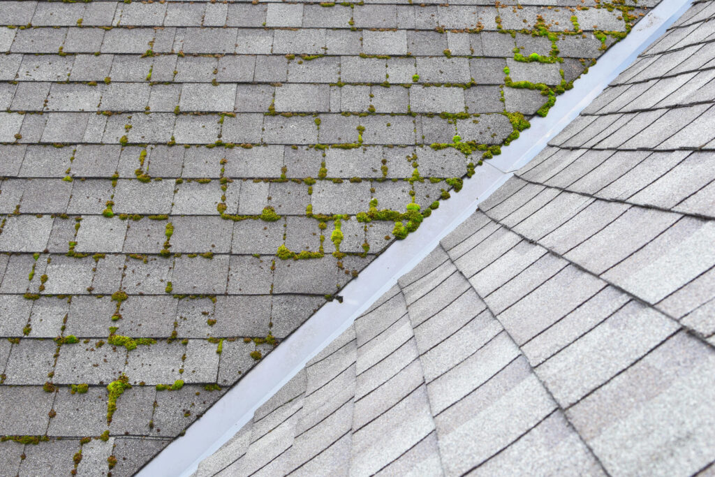 soft wash roof cleaning-roof with moss growing between shingles on half of roof