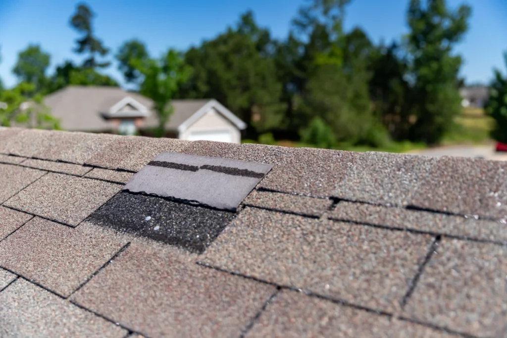 roof repair
