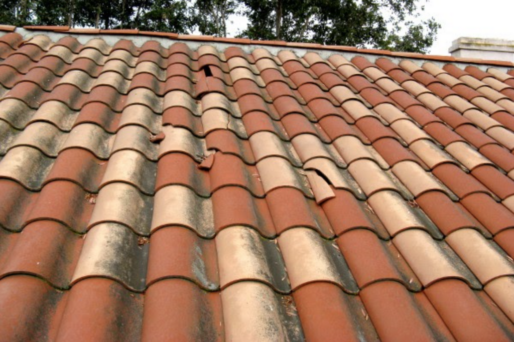 impact on shingles